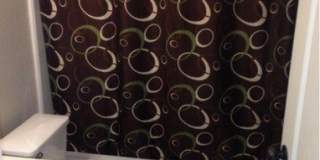 8959 arch Gallery 16