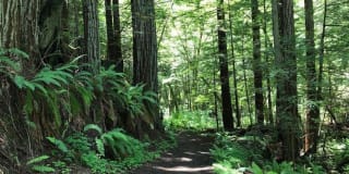 Sharon Green Gallery 23