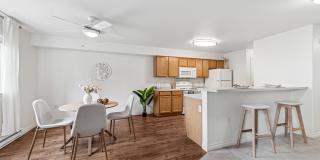 Lion's Gate Gallery 1