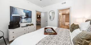 Amara Gallery 8