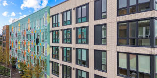 The Piper Gallery 21