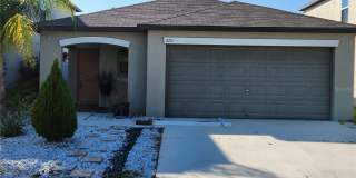 872 OLIVE CONCH STREET Gallery 1