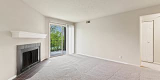 Chimney Top Apartments Gallery 22