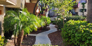 Alpine Terrace Apartments Gallery 3