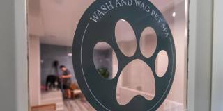 Allister North Hills Gallery 42