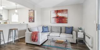 Terra House Apartments Gallery 11