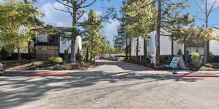Arrive Sonoma Ridge Gallery 21