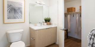 The Charlie Perris Gallery 19