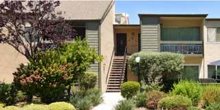24525 Trevino Drive - 6 Gallery 1