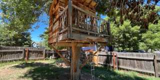 Fantastic Home in Central Fort Collins Gallery 30