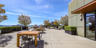 Clarendon Gallery 36