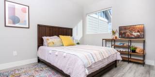 Mihir Taylor Gallery 12