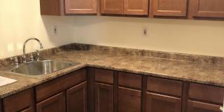 943 Archie Parrott Lane Gallery 1