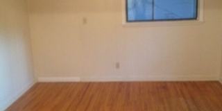 Charming 4BR/2BA Home with Elegant Features and Outdoor Bliss! Gallery 8