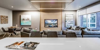 Springline Gallery 31