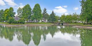 Island Park Gallery 31