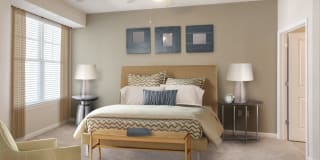 Avalon Arlington North Gallery 10