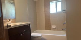 Convenient 3 beds, 2.5 bath in Ballard Gallery 12
