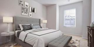 Poplin Trace Gallery 1