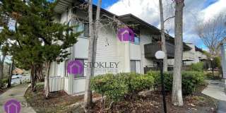1477 Marchbanks Drive Gallery 27