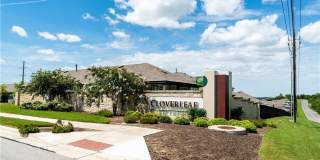 11513 Murano Drive Gallery 21
