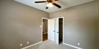 Viewable Now!  1 Dog Limit! Gallery 31