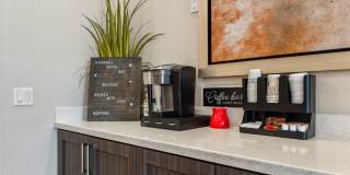 Silverbell Springs Gallery 28