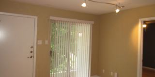 Adorable 1 bedroom apartment Gallery 4
