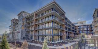 Sanctuary Gallery 26