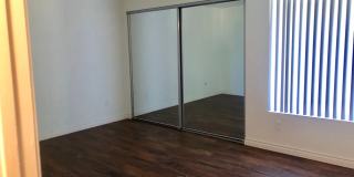 Pinery Gallery 16