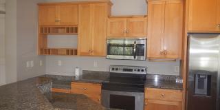 247 Kuli Puu Street Gallery 5