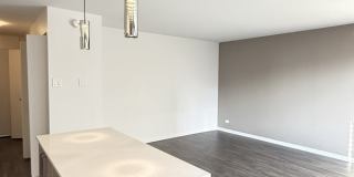 1511 S Laflin St Gallery 7