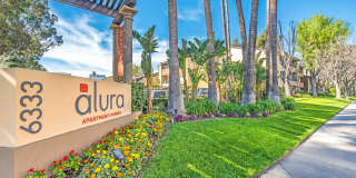 Alura Gallery 16