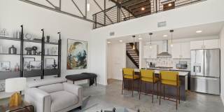 The Charli The Charli Gallery 2