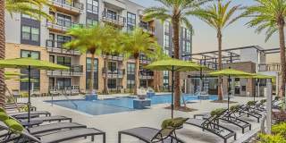 The Aston at Town Center Gallery 2