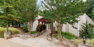 The Forest Gallery 8