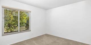 12520 Camberwell Ct Gallery 22
