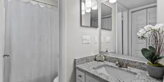 Rosen at North Hills Gallery 22