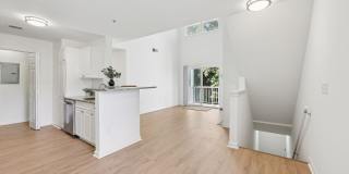 The Estates Gallery 5