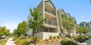 258 Sash Gallery 2