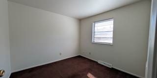 1174 D Kelburn Road Gallery 10