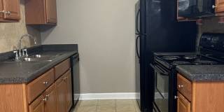 bg0422 bg0422 Gallery 10