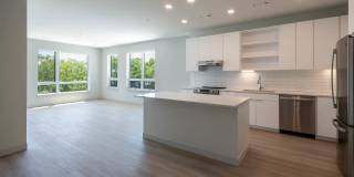 The Basin Gallery 82