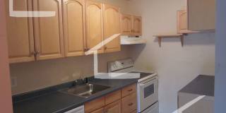 Nice 2 bed in Allston Gallery 5