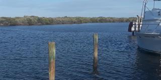 1204 Harbour Point Drive Gallery 15