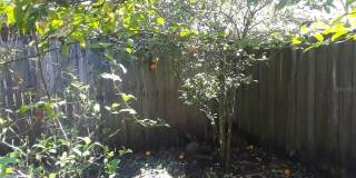 1303 CANDLEWYCK DRIVE Gallery 4