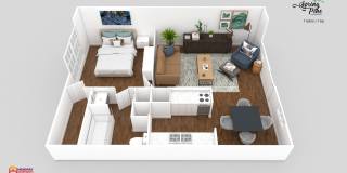 Spring Pine Gallery 37