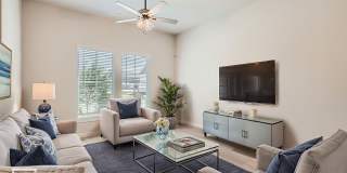 JASPER PLAN Gallery 4