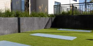 Noko Gallery 38