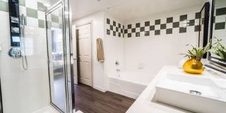 Muse at SoCo Gallery 17